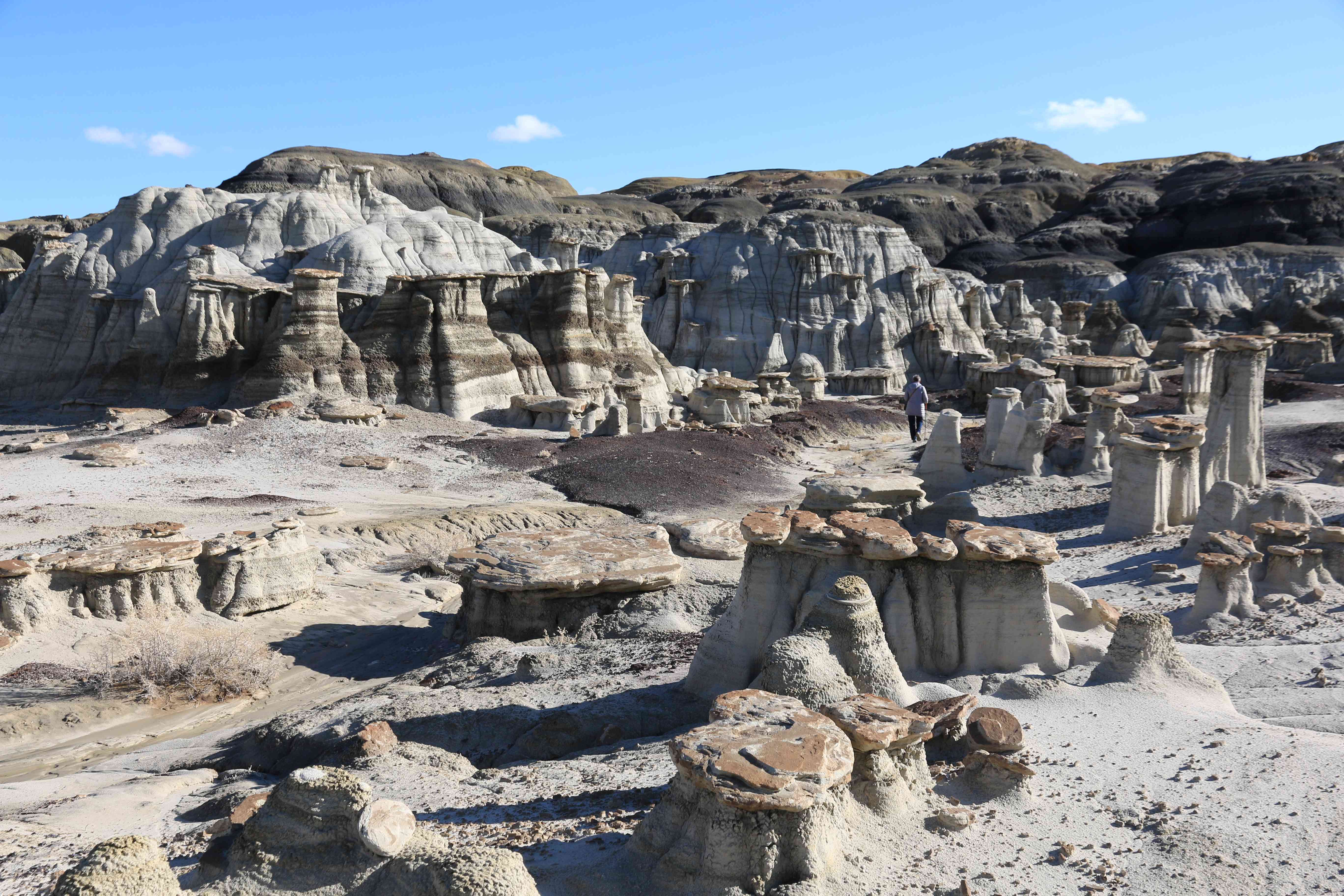 Bisti Badlands